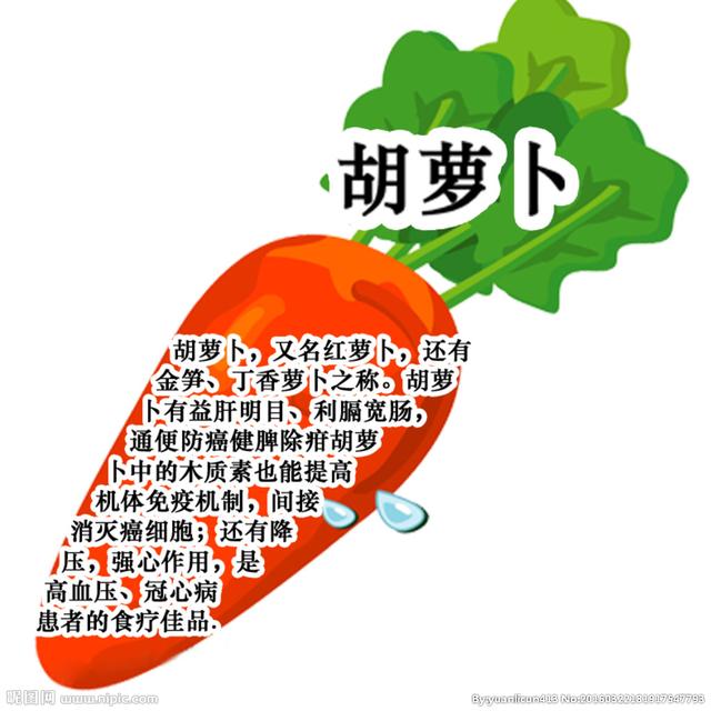 胡萝卜图片