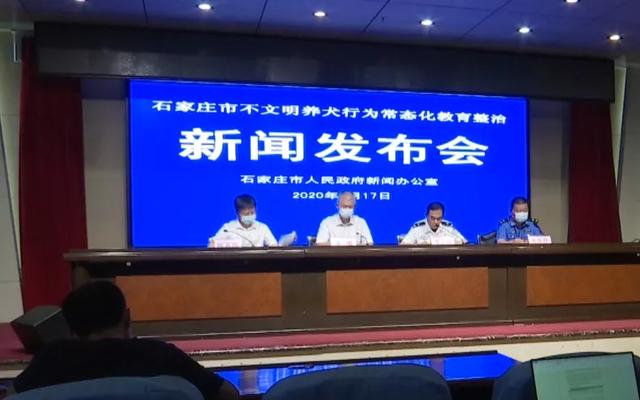 最高罚款1000元！石家庄这些市民注意了