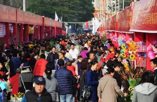 行花街、看花灯……“清远年味”总有一款适合你！