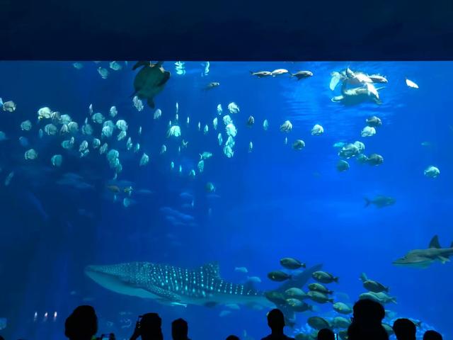 珠海长隆海洋王国