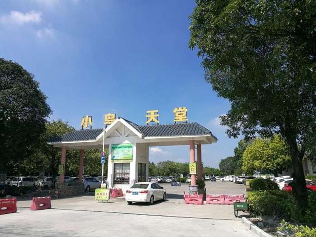 江门新会这个景点叫小鸟天堂,是全国最大的天然赏鸟乐园!