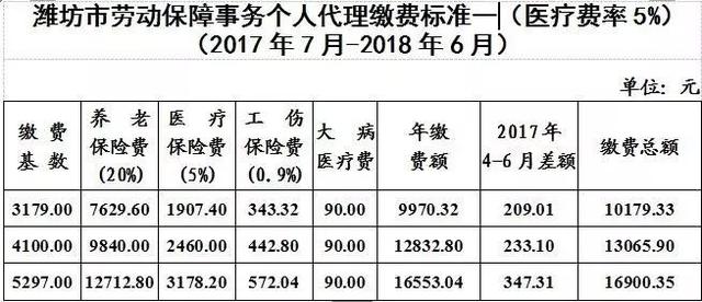 潍坊市劳动保障事务个人代理缴费标准