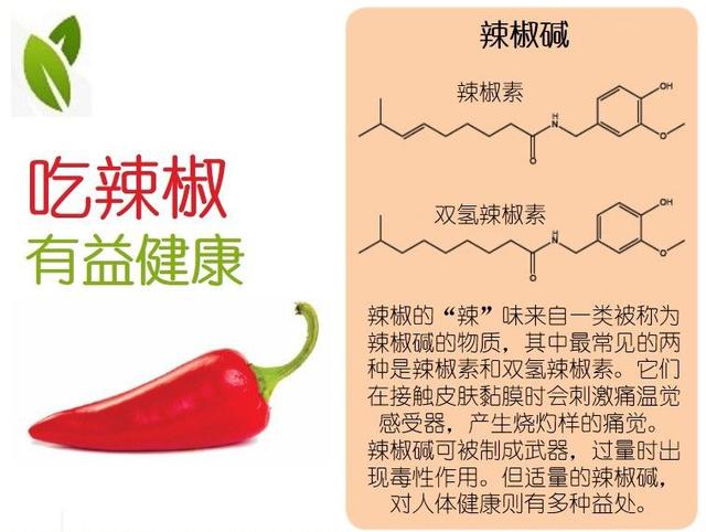 【一图读懂】辣椒的16个益处