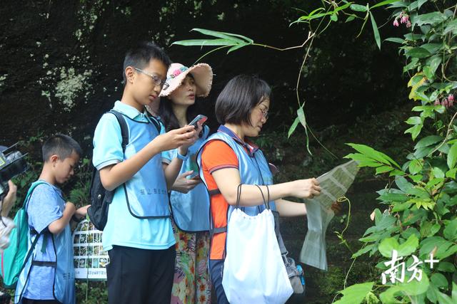 探秘自然遗产，2020丹霞山野生植物辨认大赛开始报名