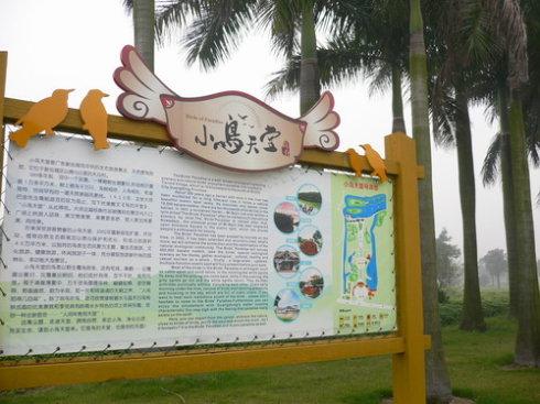 新会小鸟天堂一天游