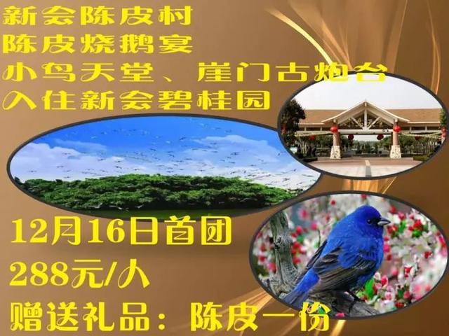 到达后前往新会【小鸟天堂】全国最大的天然赏鸟乐园(游览时间约2