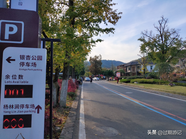 不用买60块的门票，免费游览湖州长兴八都岕的十里银杏长廊
