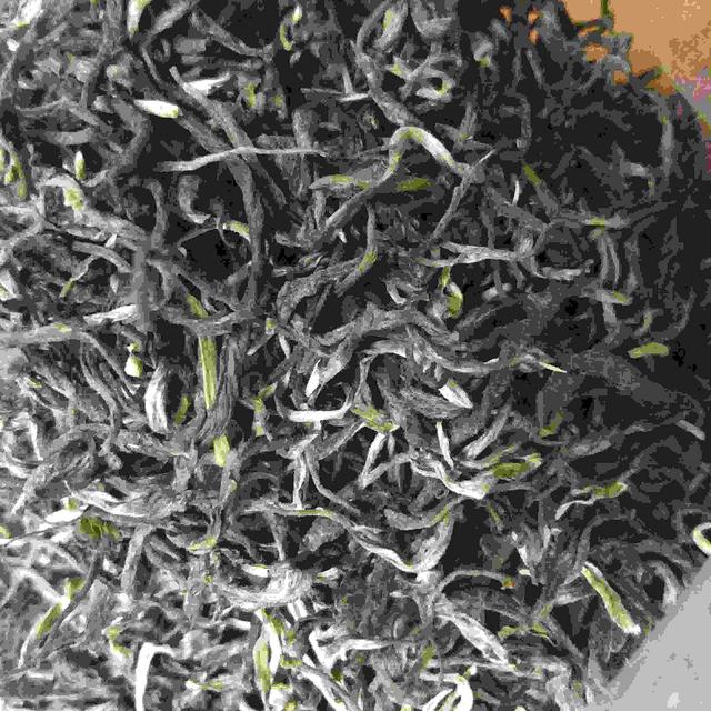 韶关白毛茶