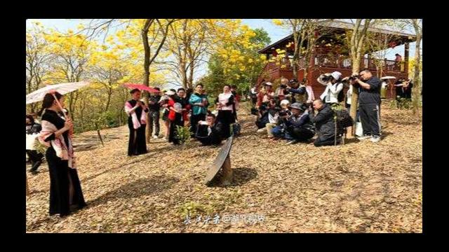 广东省揭阳市、揭西县摄影家走进大鹿农业公园采风