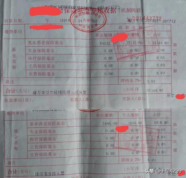 补缴养老保险