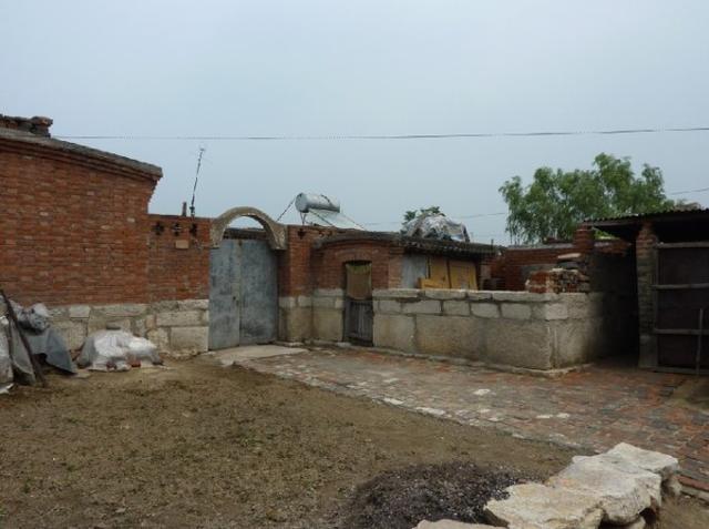 唐山市丰南区稻地范庄儿.2010年7月7日中午.)