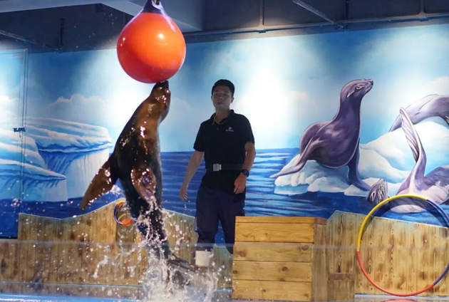 东莞海之韵极地海洋公园