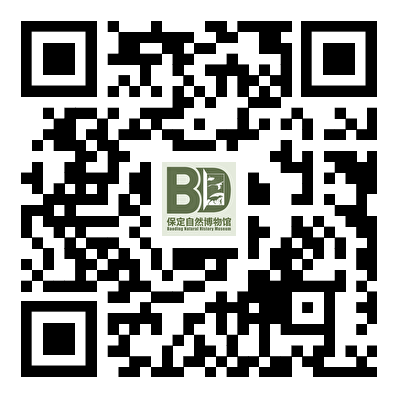 中国古动物馆(保定自然博物馆)社会团体参观及讲解预公告