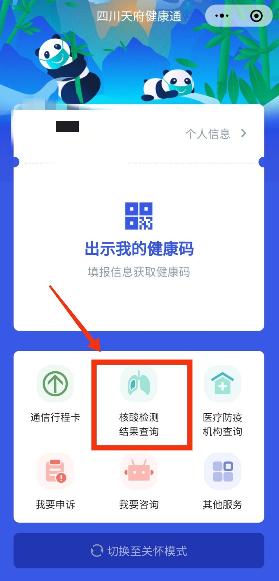 攀枝花核酸检测结果在哪里查询？