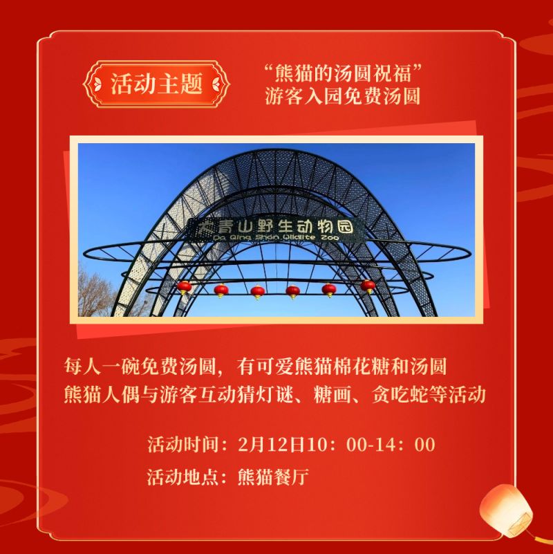 2025呼和浩特回民区元宵节活动安排一览