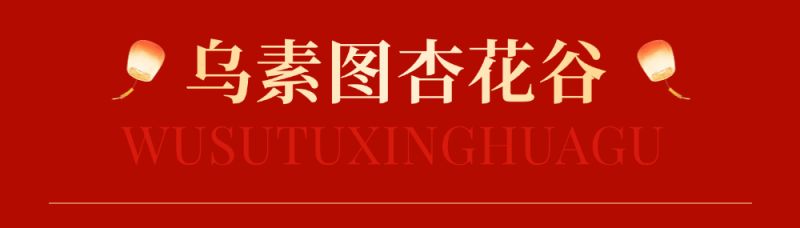 2025呼和浩特回民区元宵节活动安排一览