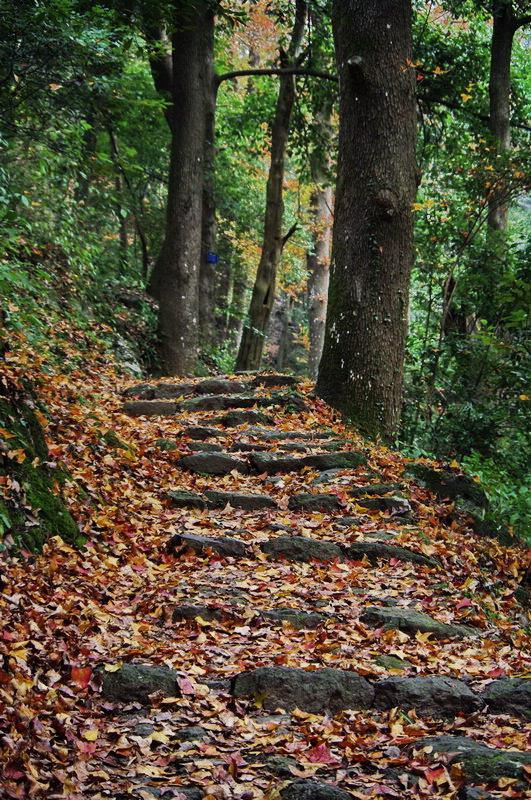 东坪唐朝古道