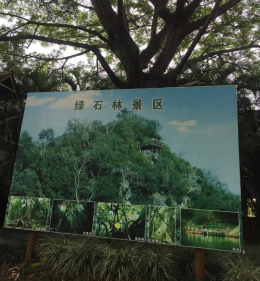 绿石林雨林公园