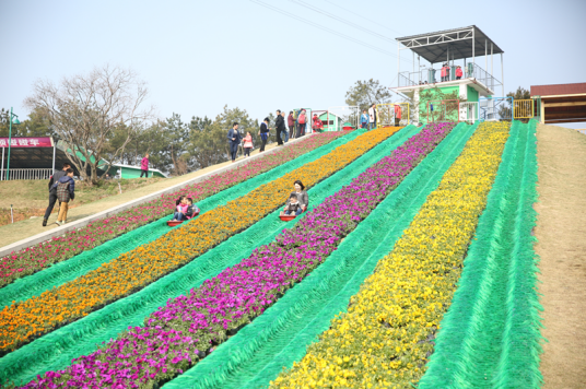 花海乐园