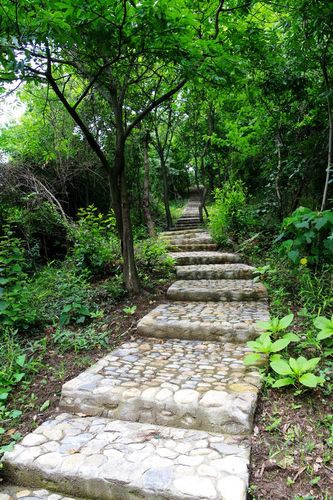 云雩山森林步道