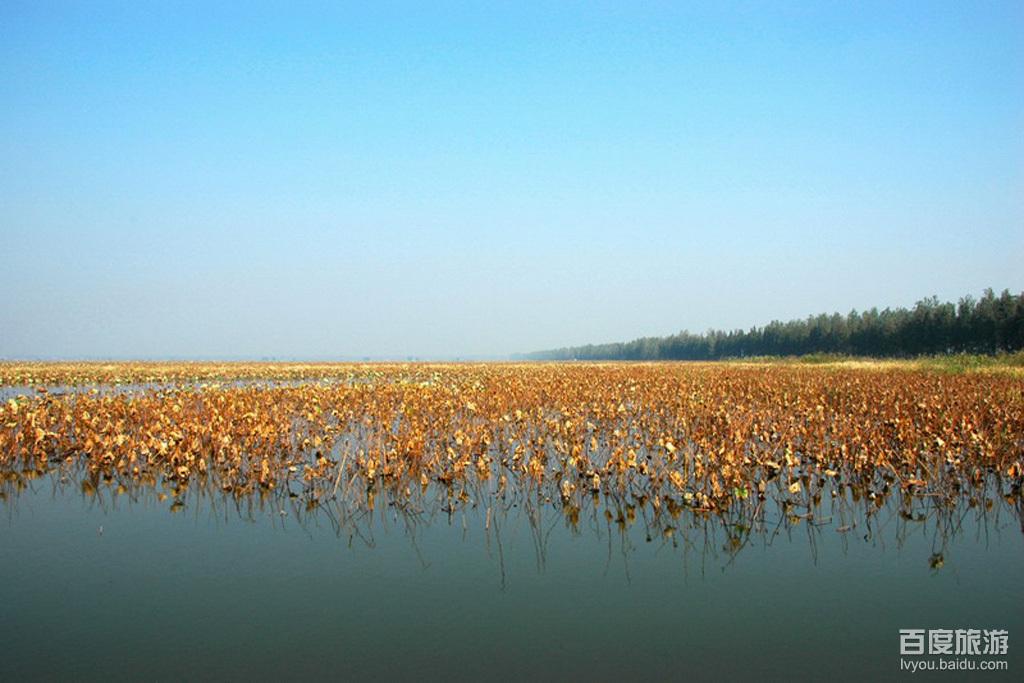 江汉湖区湿地