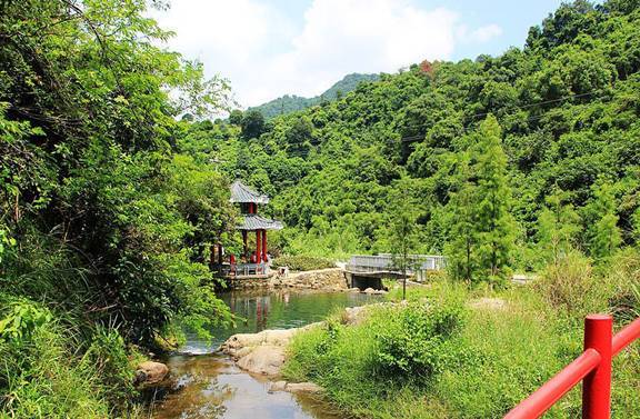 马峦山郊野公园