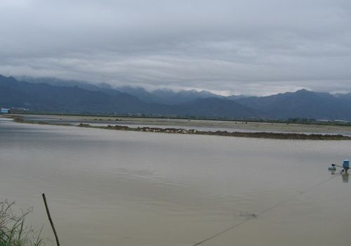 碧岭生态村