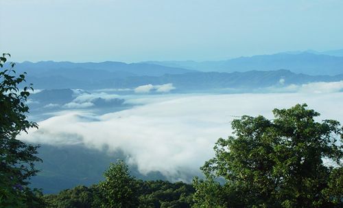 屏山老君山