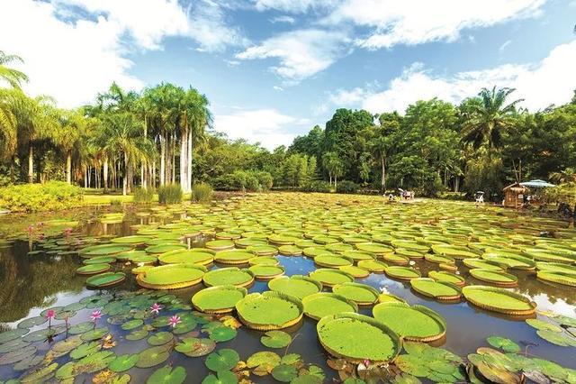 西双版纳热带植物园