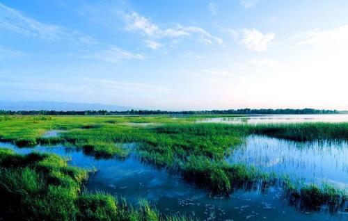 下洛湿地