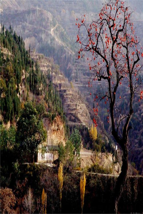 孤峰山风景区