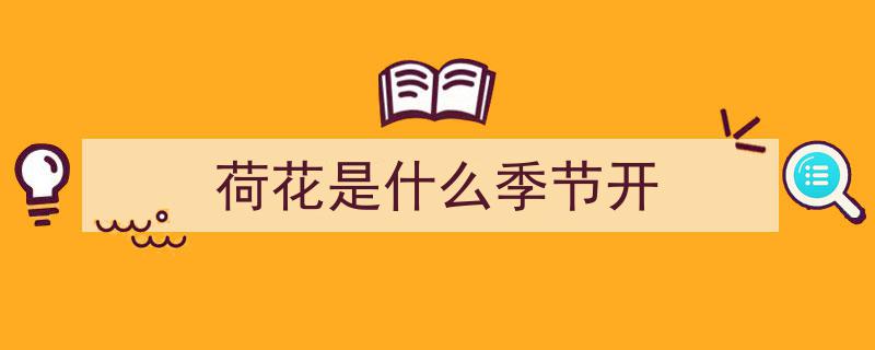荷花绽放时节,揭秘荷花盛开的时间之谜"/