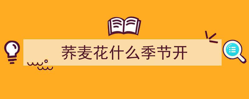 陕北风光正当时,荞麦花海盛放的季节"/