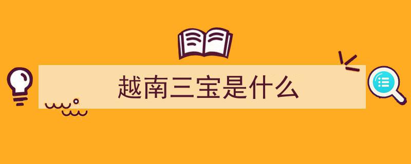 一碗河粉，品味越南风情无限"/