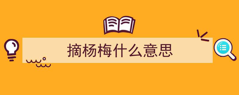 夏日摘杨梅，尽享丰收喜悦"/