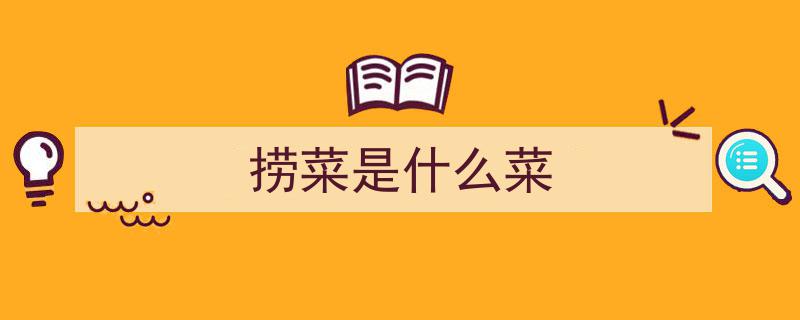 海边捞菜乐享丰收，安全防范不可少"/