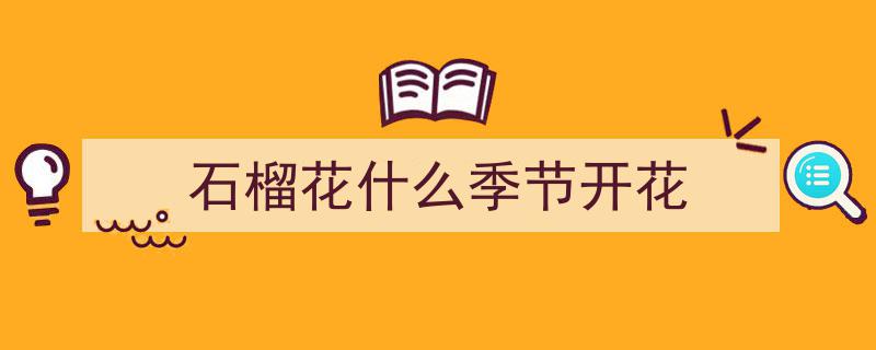 石榴花开的时节,绽放的美丽与丰收的喜悦"/