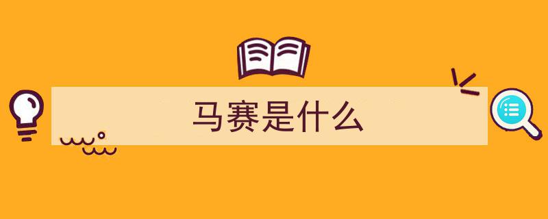 欧洲体育之都风采,探寻法国马赛的激情魅力"/