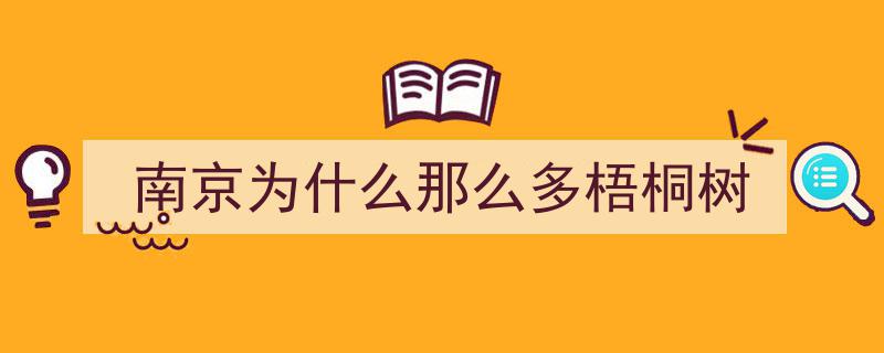 南京,播梧桐树种，引凤凰来栖"/