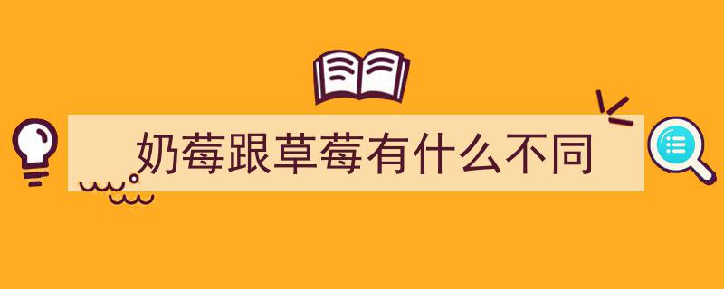 两百元一斤的奢华之选,天价菠萝莓与白草莓的尊贵差异揭秘"/