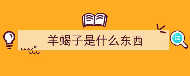军营盛宴,硬菜系列之羊蝎子风味独领风骚"/