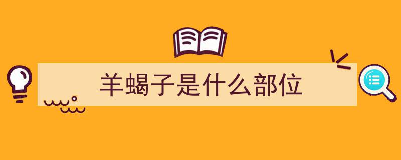 寒露时节，羊蝎子成主角,营养滋补，美味驱寒，猪肉牛肉靠边站"/