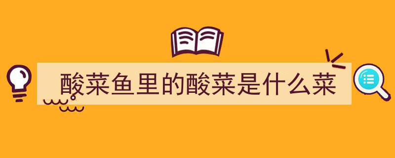 冬日暖胃秘籍,轻松学会的金汤酸菜鱼，驱寒神器来袭！"/