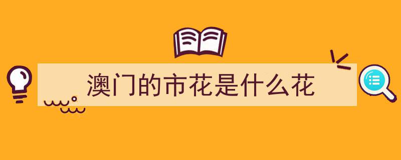 今日发行！太美了，有被惊艳到的视觉盛宴！"/