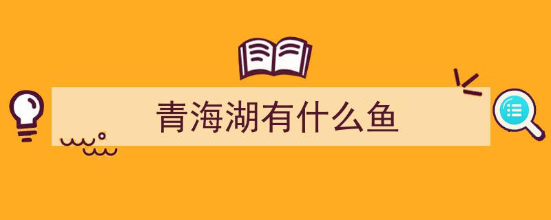 青海湖奇观,不足3千吨至9.3万吨，这种鱼何以成为“宠儿”"/