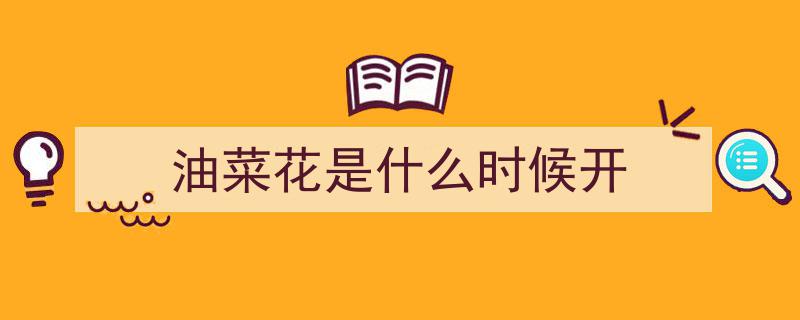 油菜花海八彩绽放，这里美景等你来打卡"/