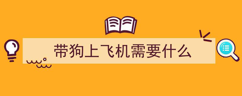 空中新体验,旅客可带宠物一起乘飞机，温馨相伴旅行时"/