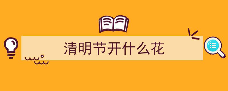 春花盛开，游人如织，踏青追花盛宴启幕"/