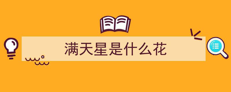每天认识一种花——璀璨星空下的满天星"/