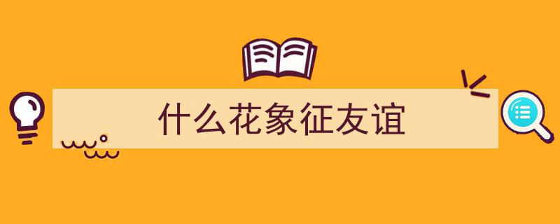 揭秘玫瑰13种颜色花语,你了解其中的几种？（第二篇）"/